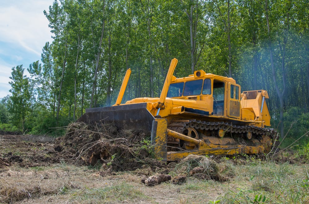 New Hampshire Seacoast Land & Lot Clearing Services